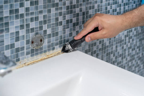Best Affordable Mold Removal  in Wickerham Manor Fisher, PA