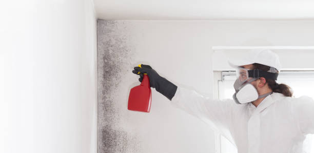 Mold Testing and Removal in Wickerham Manor Fisher, PA